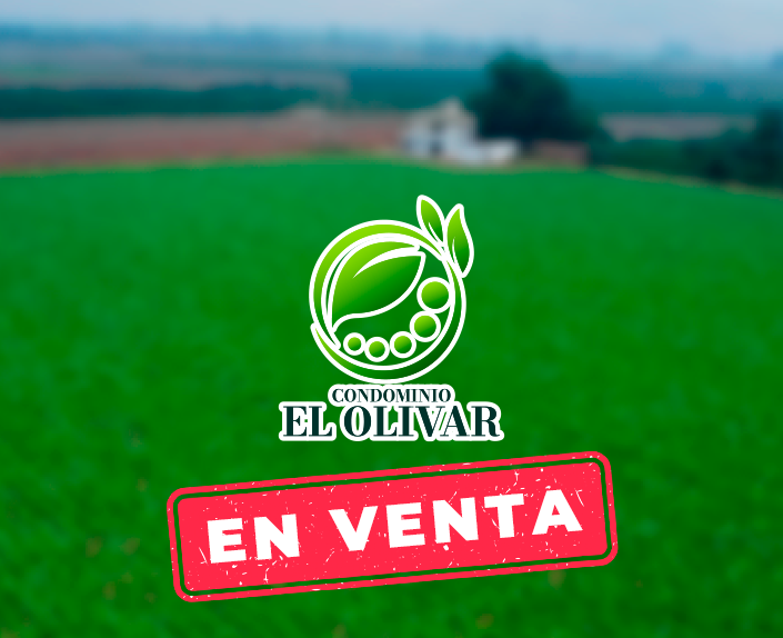 el olivar en venta2