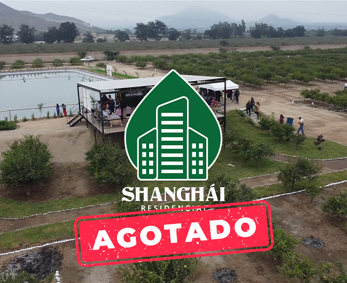 shangai agotado